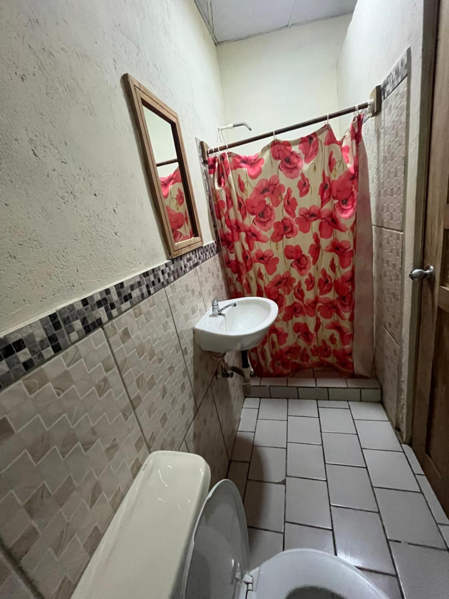 Valerie Emanuel Apartments بوكاس تاون المظهر الخارجي الصورة